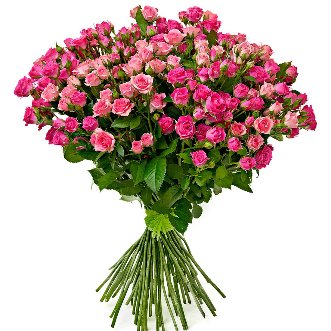 Кустовые розы